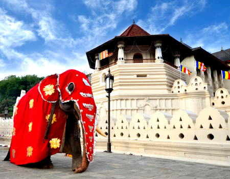 Kandy City Tour